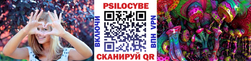Галлюциногенные грибы Psilocybine cubensis  Власиха 